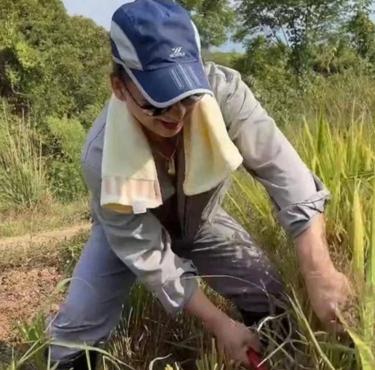 金窝不如你的老窝!五星在农村养老,种地,摆摊,建别墅